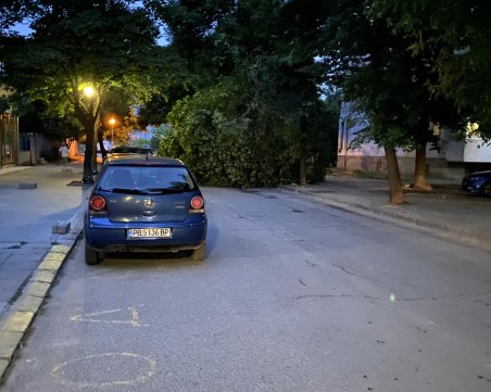 Дърво падна на улица в „Кючука”