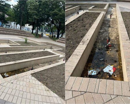 Ново, а вече занемарено! Парк в сърцето на Пловдив заприлича на заблатен развъдник на насекоми