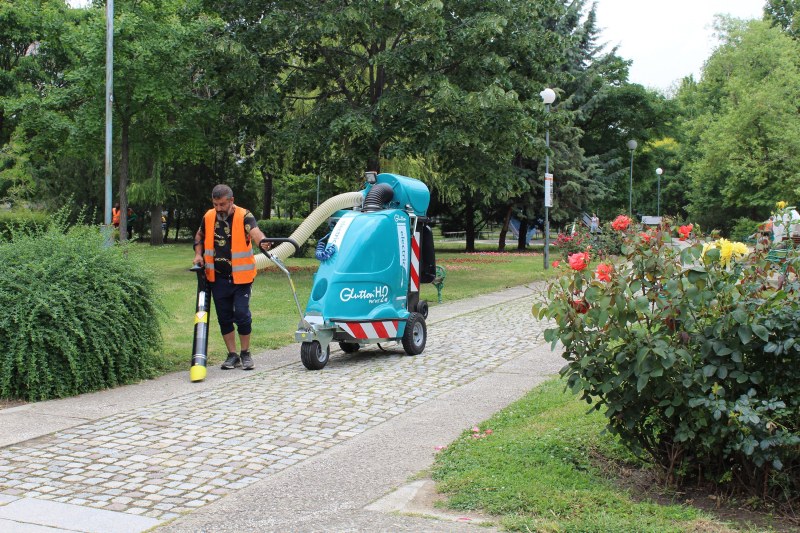 Алеите в много от пловдивските паркове вече се почистват с
