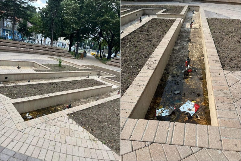 Ново, а вече занемарено! Парк в сърцето на Пловдив заприлича на заблатен развъдник на насекоми