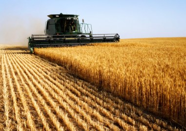 В България не влизат много големи количества зърно от Украйна