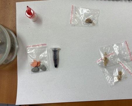 Спецакция в Созопол! 8 души са арестувани