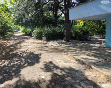 Най-после! С 2 млн. лева облагородяват тепетата в Пловдив