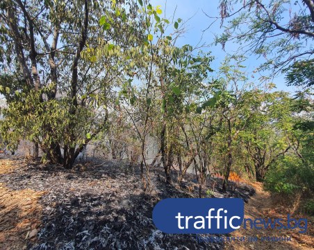 Само за денонощие: 53 пожара са избухнали в страната