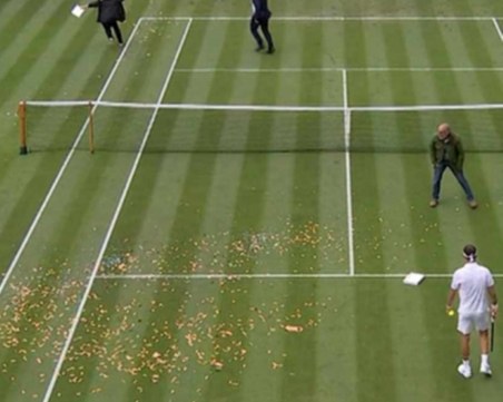 Протестиращи спряха мача на Григор Димитров на Уимбълдън, хвърлиха конфети на корта