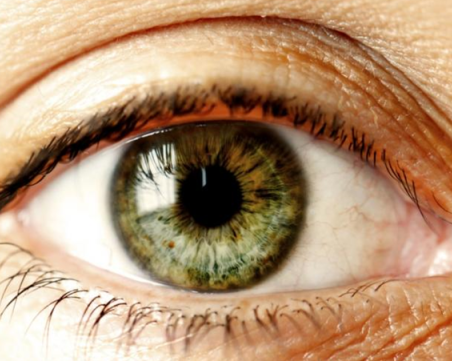 Учени откриха, че изменението на климата ни превръща в къртици