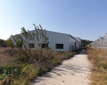 Нов опит ЧСИ да продаде огромна оранжерия и близо 50 дка край Пловдив