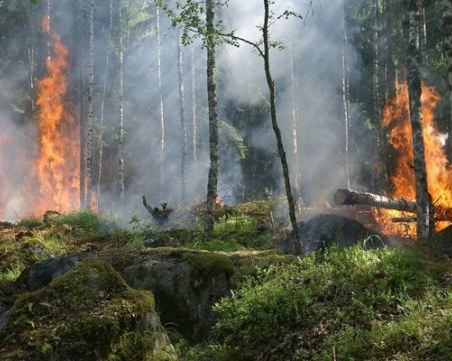 Сериозен риск от пожари заради високите температури