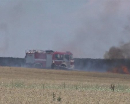 Пожар унищожи близо 200 декара житни насаждения в Първомай