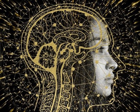 Съветът на ООН по правата на човека иска защитни мерки за изкуствения интелект