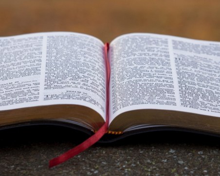 В Швеция разрешиха протест, на който се планира да бъдат изгорени Библията и Тората