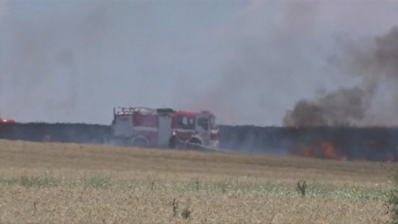 Пожар унищожи близо 200 декара житни насаждения в Първомай
