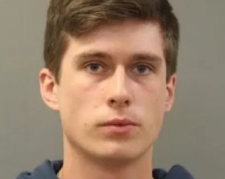 Мъж уби четири котки в микровълновата си фурна