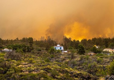 Голям пожар избухна на Канарските острови Повече от 4000 души