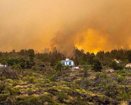 Голям пожар на Канарските острови, изгоряха къщи и хиляди декари гора