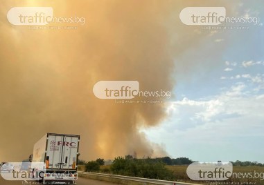 Голям пожар бушува на АМ Тракия край Пловдив В същия