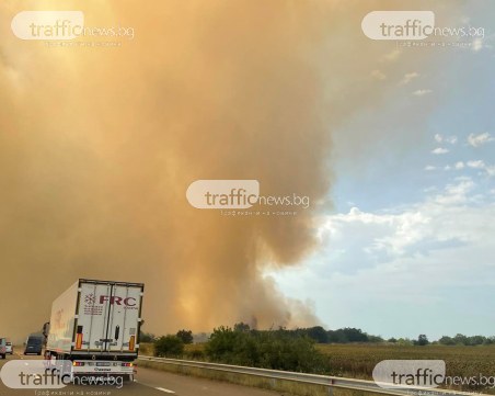 Два големи пожара обгазиха Пловдив