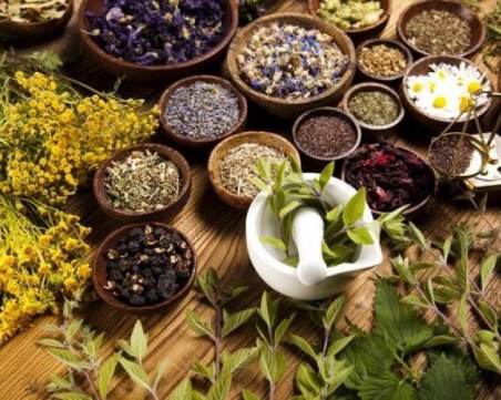 Билките, които се използват при диабет