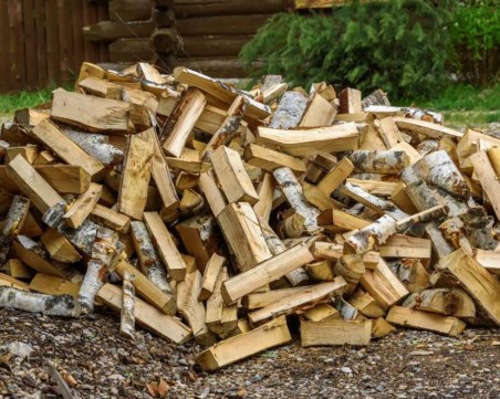 След публикация на TrafficNews: Арест за незаконната сеч край Кричим