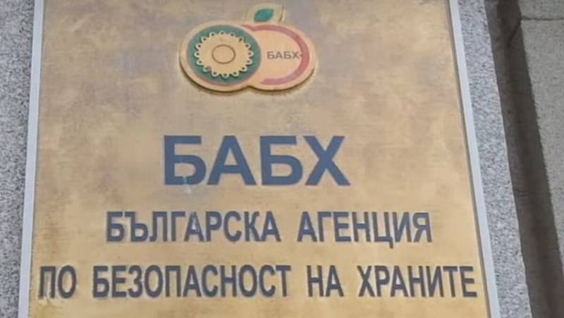 БАБХ със засилени проверки в предприятията за сладолед