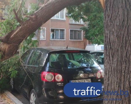 Клон се стовари върху кола на паркинг в Пловдив