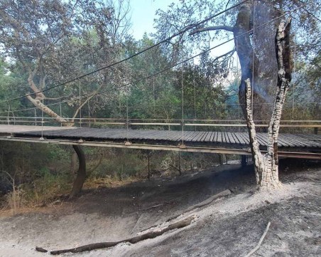 Разраства се пожарът край Буково, а огънят на Гребната е обхванал и въжения мост