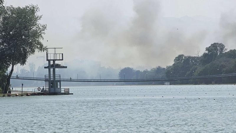 Пожар пламна около река Марица в Пловдив. Той е избухнал