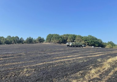 Пожарът край Буково е овладян съобщиха от Регионална дирекция Пожарна безопасност