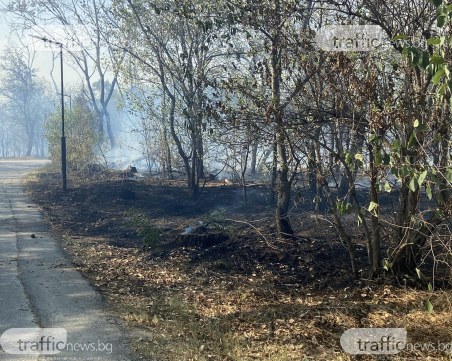 След пожара на Гребната база: Замърсяване на въздуха в целия град