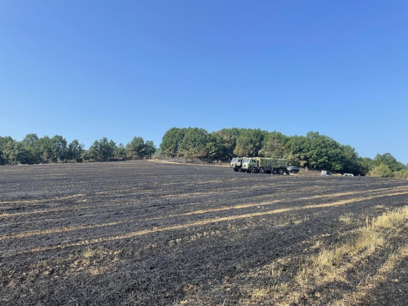 Общо 200 декара територия са изгорели от пожара край Буково