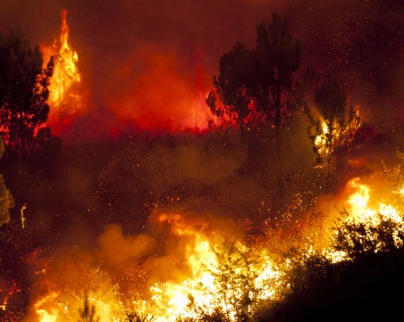 Голям горски пожар бушува и в Анталия