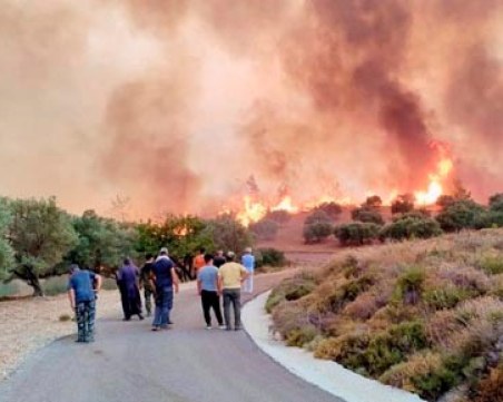 Туроператори: Няма български туристи на Родос и покрай пожарите на Корфу