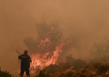 Над 40 са вече загиналите в пожарите обхванали Средиземноморието Повечето