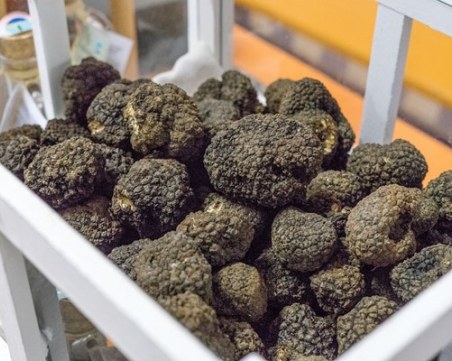 Дават на съд мъжете, източвали милиони ДДС от търговия с трюфели в Пловдив и Пазарджик