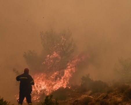 Пожарите в средиземноморските страни взеха 40 жертви