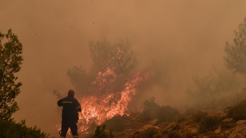 Над 40 са вече загиналите в пожарите, обхванали Средиземноморието. Повечето