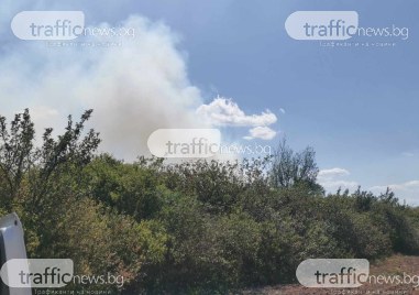 Два големи пожара бушуват край Оризаре към този момент На