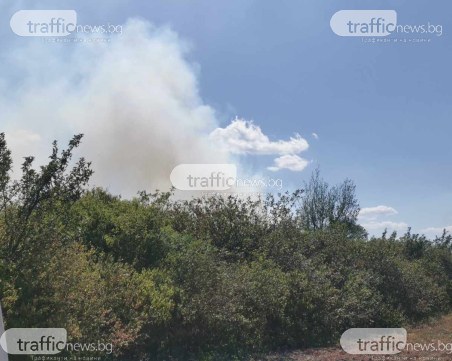 Два големи пожара бушуват край Оризаре