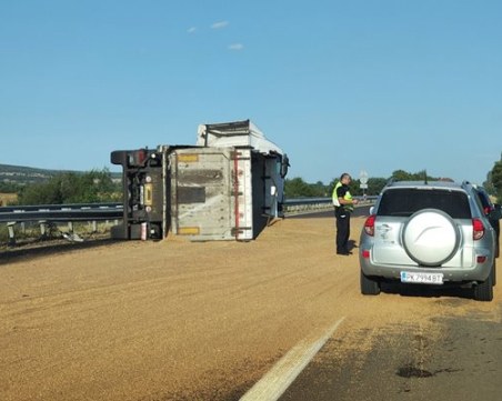 Камион с жито се обърна на АМ 