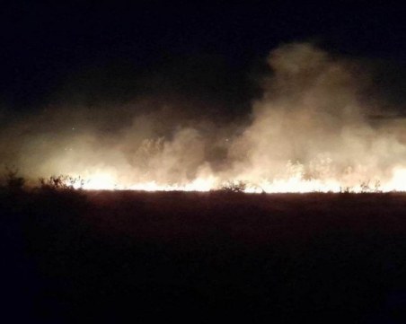 Отново се разгоря пожарът, който избухна в сряда край Пазарджик