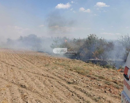 Затвориха пътя Пловдив - Пещера заради пожар в района