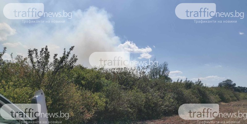 Два големи пожара бушуват край Оризаре