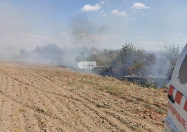 За момента пожарът в Пазарджишко между селата Величково Бошуля Памидово