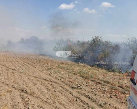 Локализираха големия пожар в Пазарджишко