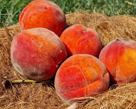 В Храбрино се подготвят за първото издание на 