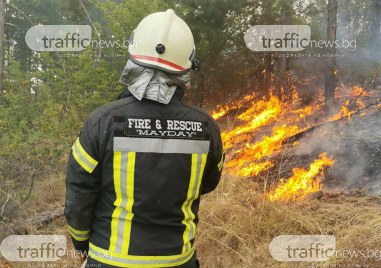 Продължава гасенето на пожара над пловдивско село Искра Седем екипа