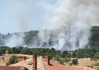 Пожарът в Източните Родопи край селата Свирачи и Орешино община