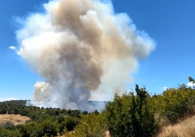 Голям горски пожар до ивайловградското село Свирачи Пожарът е в