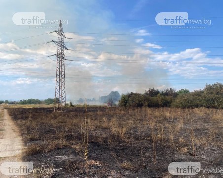 Пожар лумна край двореца „Кричим”, на място има два екипа огнеборци