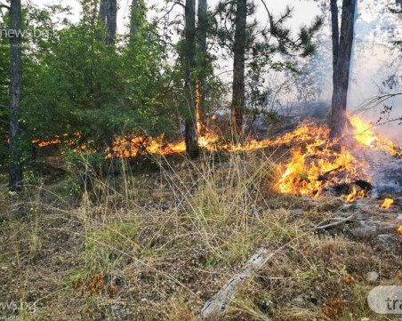 Цяла нощ се борят с пожара в пловдивското село Искра, стигна близо до къщите
